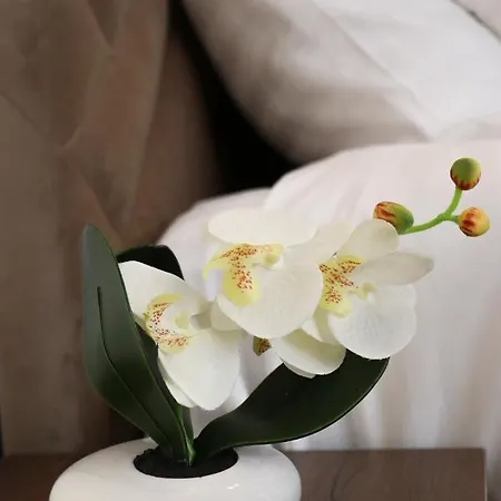 Nivalis Hill A16 Apartment *